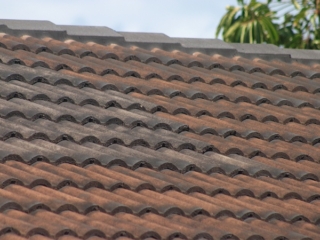 Canterbury Roof Coatings Close up of roof
