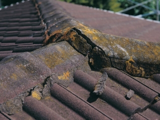 Canterbury Roof Coatings before picture